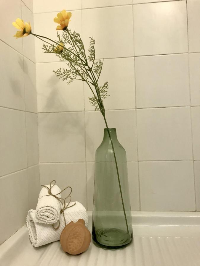 Cedro 28 Apartment ローマ エクステリア 写真