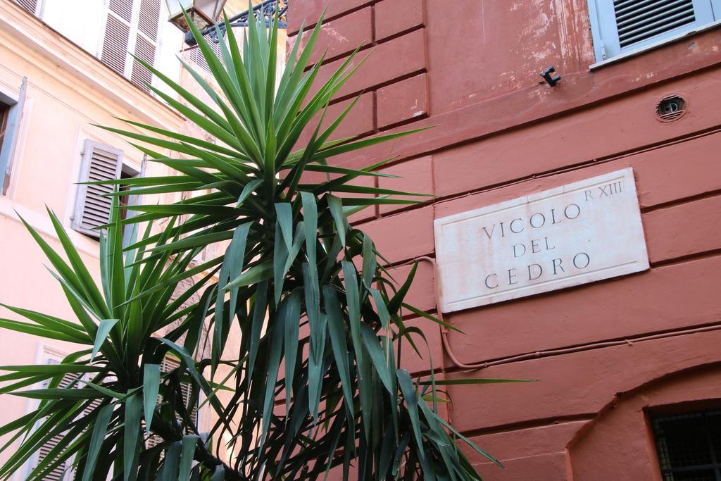 Cedro 28 Apartment ローマ 部屋 写真